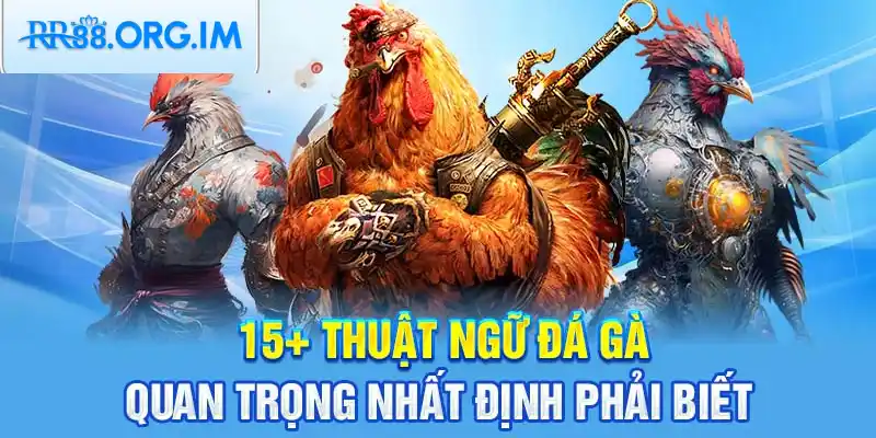 Gà nòi là giống gà huấn luyện chiến đấu, hiếu chiến.